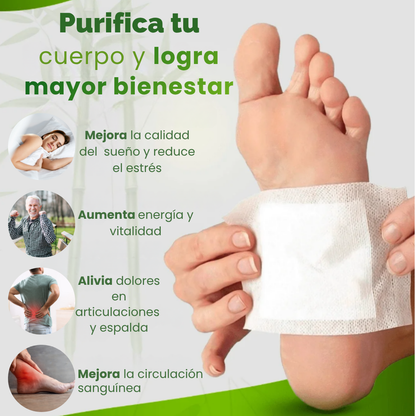 Kinoki Detox – Bienestar y Energía Desde la Primera Noche